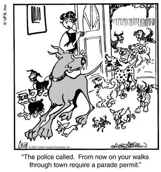 marmaduke